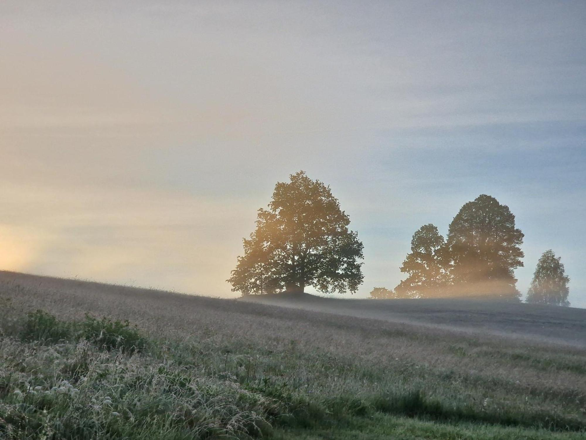 Barcinek Agro Na Gorceヴィラ エクステリア 写真