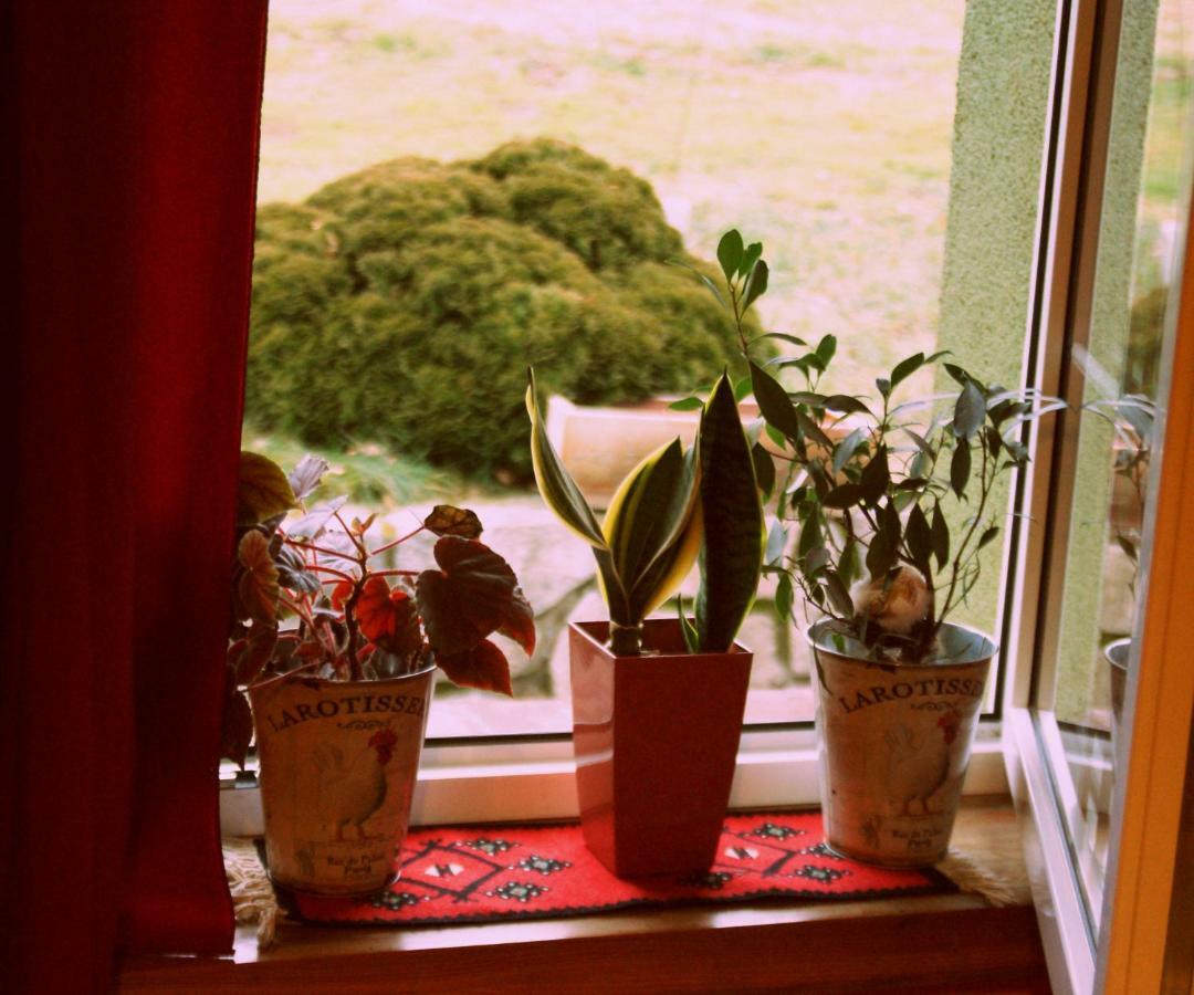 Barcinek Agro Na Gorceヴィラ エクステリア 写真